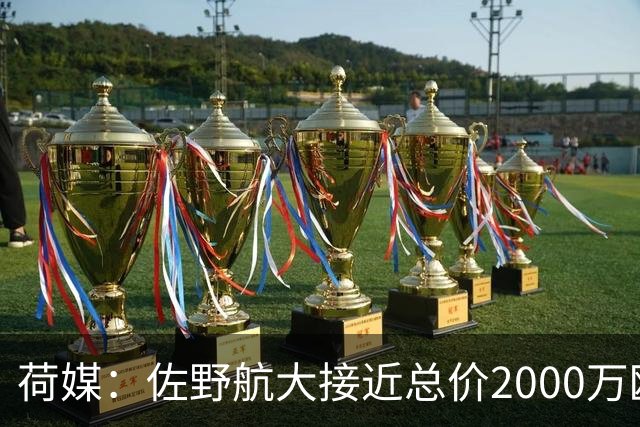 荷媒：佐野航大接近总价2000万欧加盟霍芬海姆，他是佐野海舟弟弟